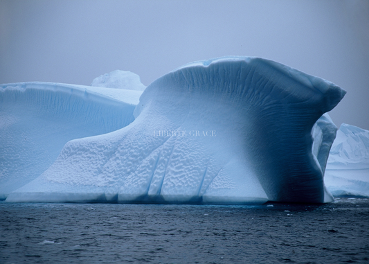 IMAGINE ANTARCTICA: A Conversation With The End Of The World