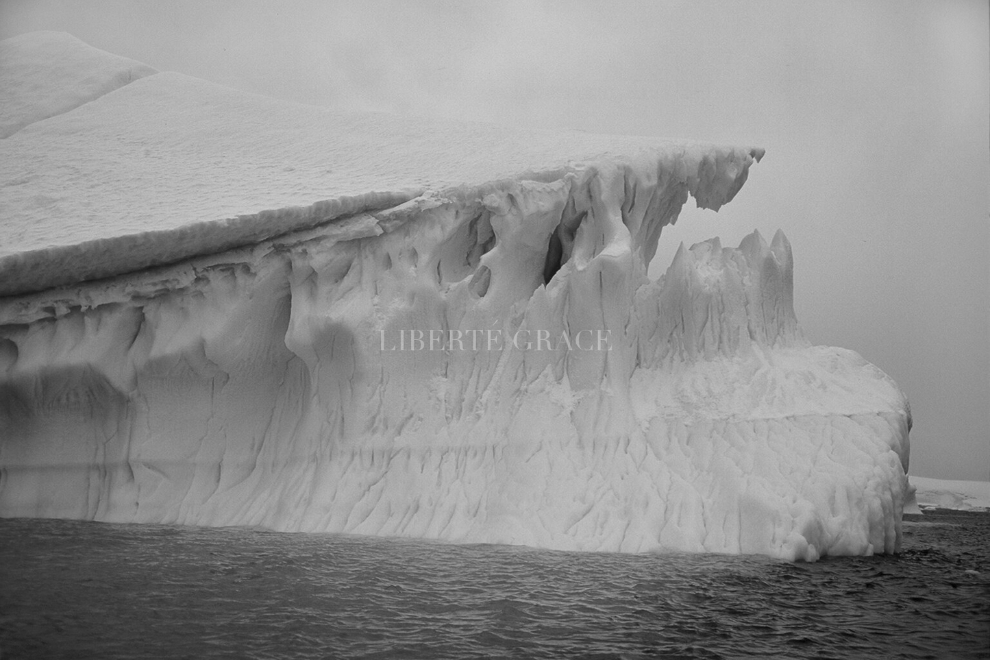 The Endeavour Photograph