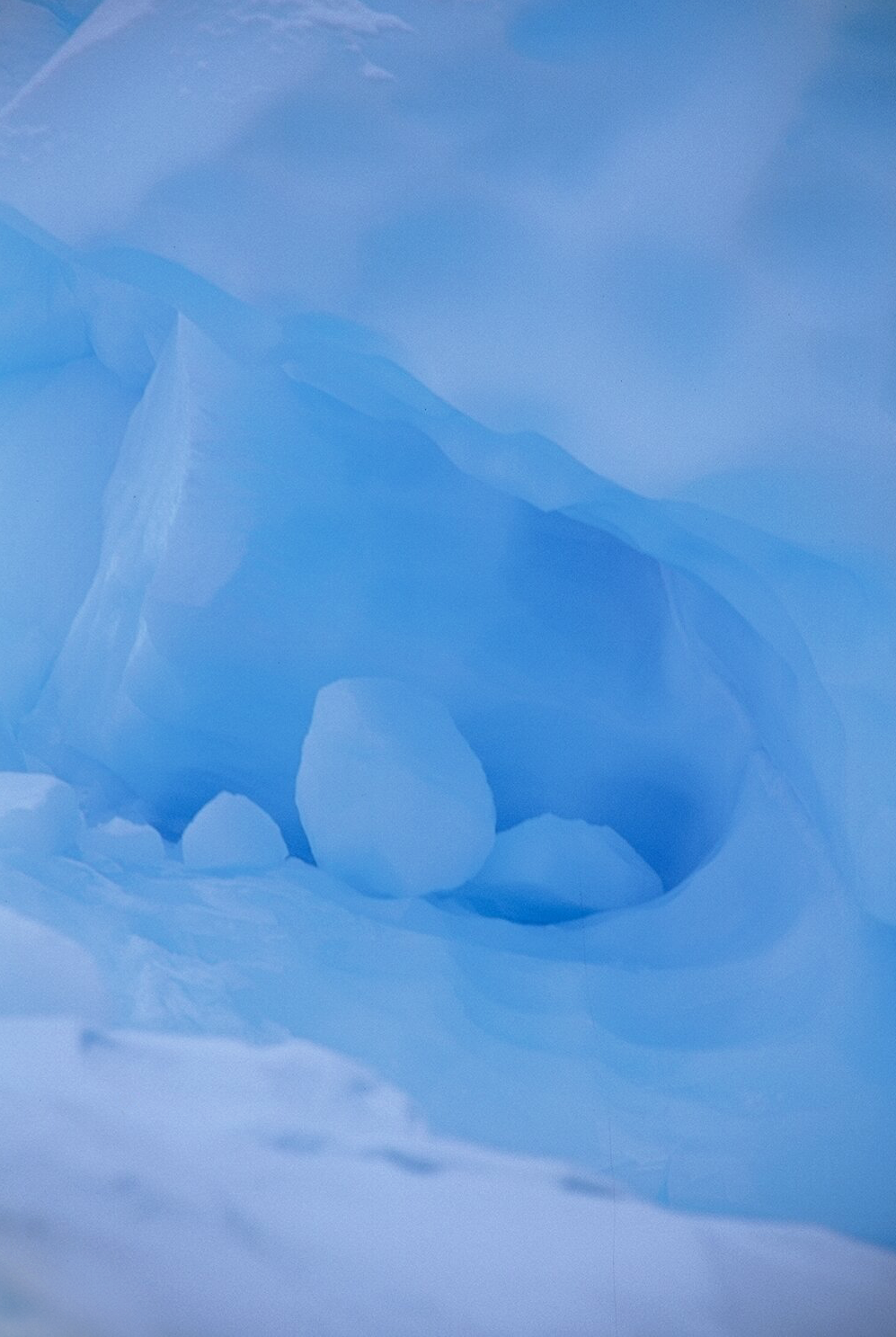 The Divine Seed Photograph