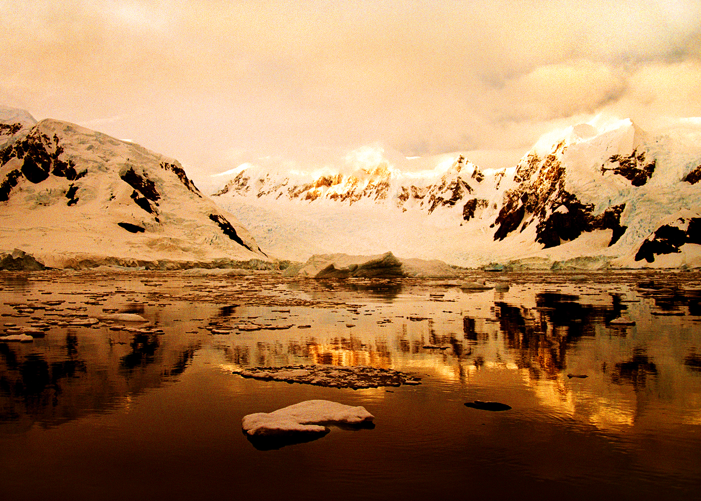 Paradise Harbour Photograph