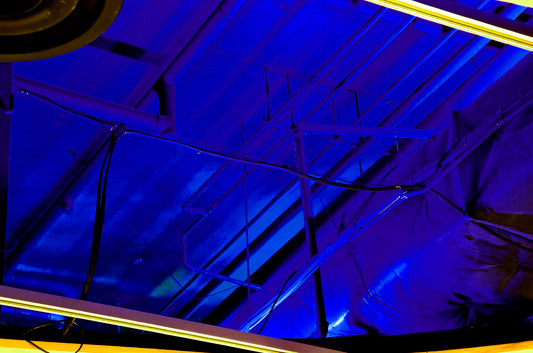 Storey: Electric Blue Photograph