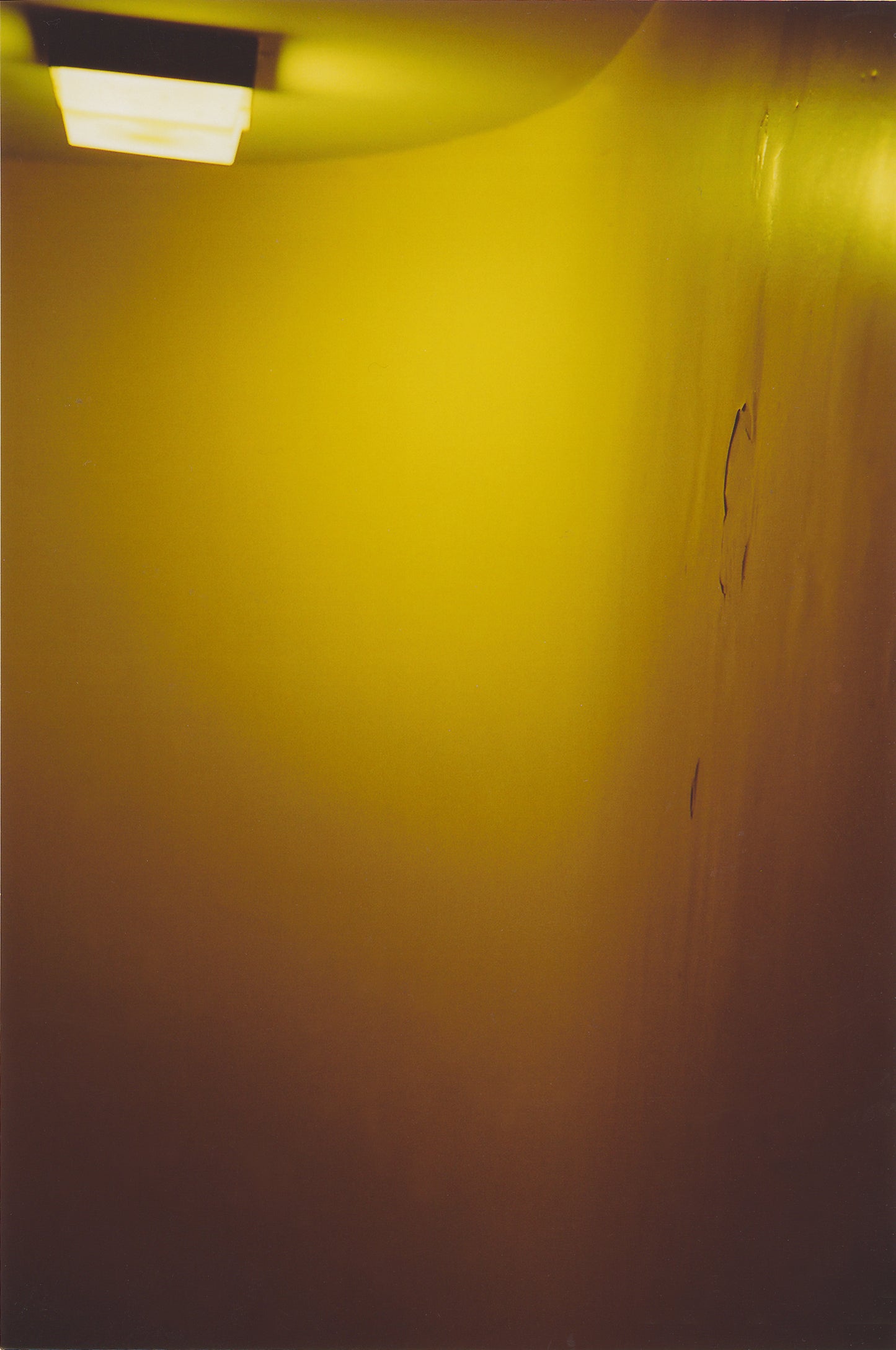 Sheridan Close | Cello Photograph - Limited Edition of 44