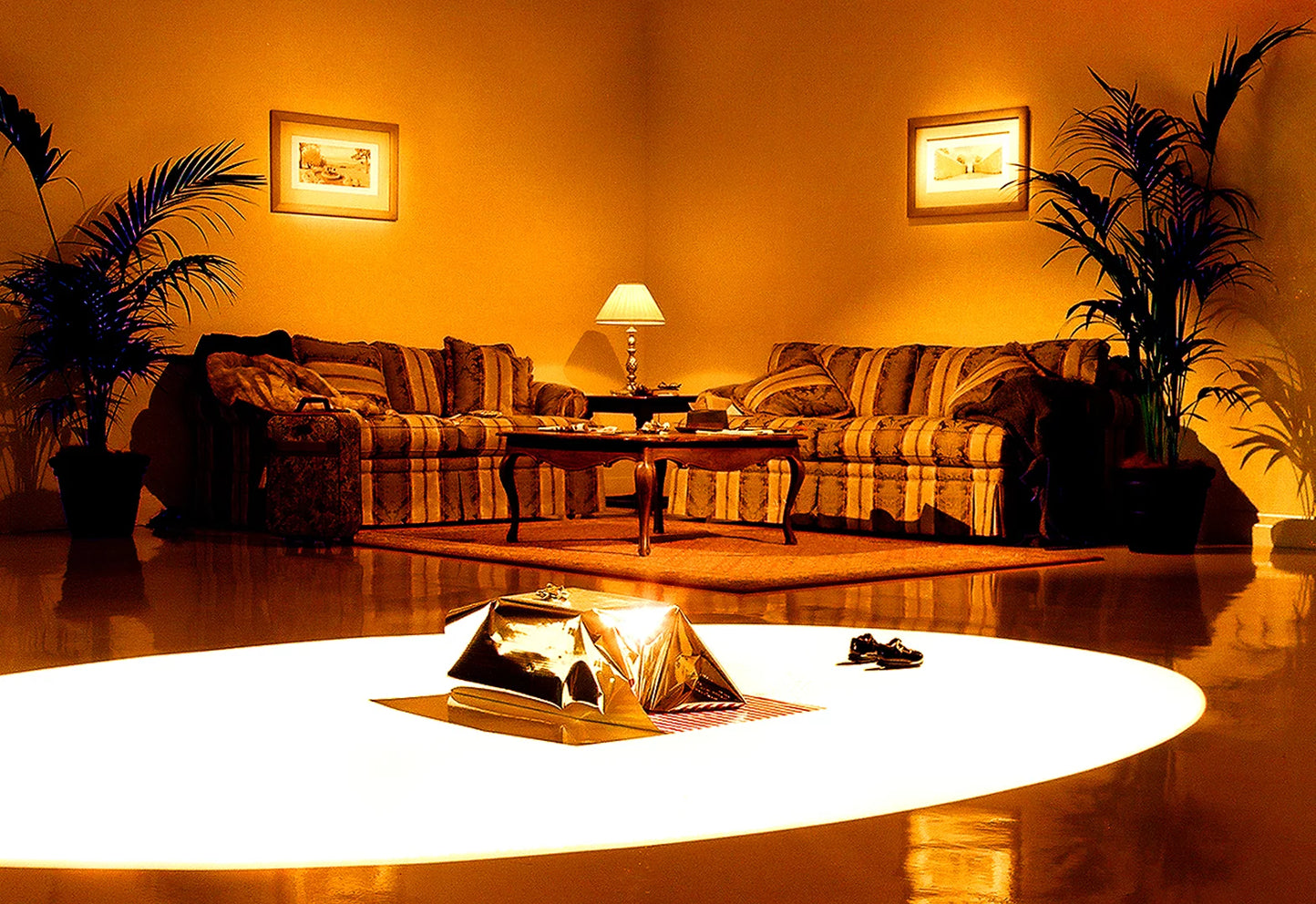 Storey: Paradiseland Photograph