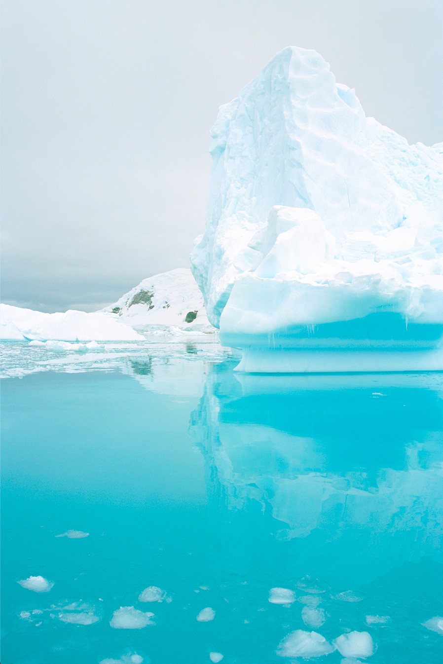 The Emerald Violin Photograph
