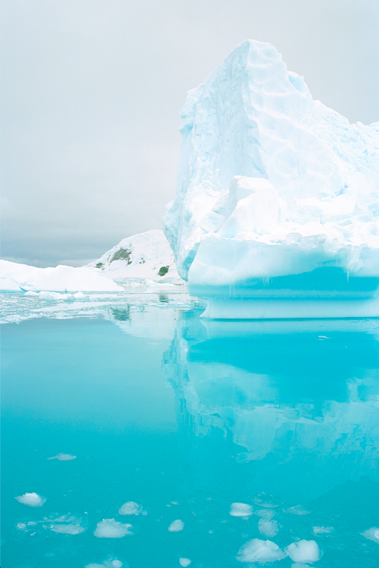 The Emerald Violin Photograph