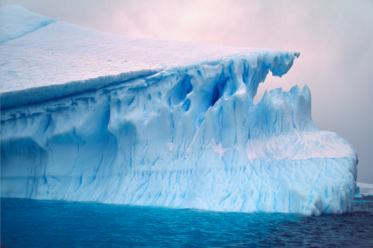 The Endeavour Photograph