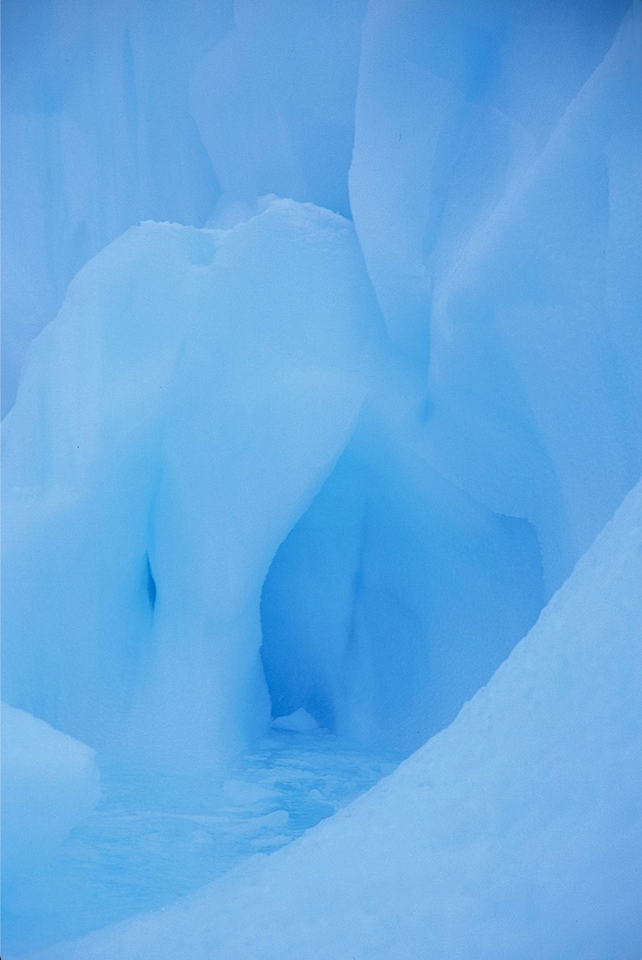 The Pieta Photograph