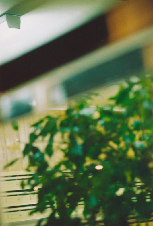 Sheridan Close: Walk On Photograph - Limited Edition of 44